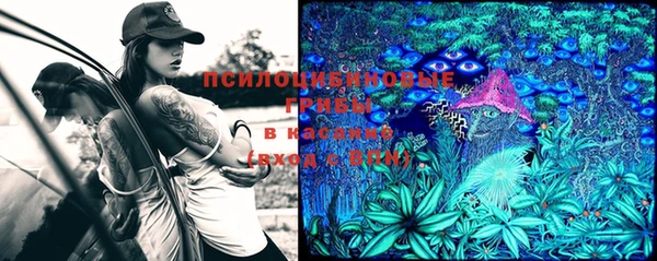 мдма Козельск