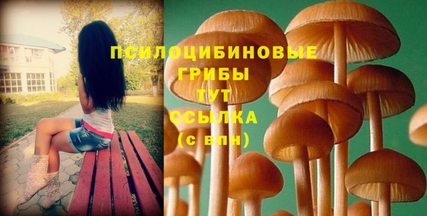 таблы Кодинск
