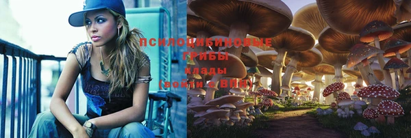 мет Козловка