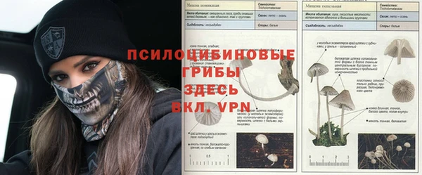 мдма Козельск