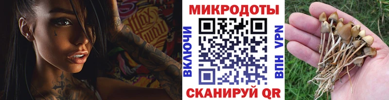 Галлюциногенные грибы мухоморы  Купить закладки  Верхняя Салда 
